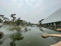 -罗红摄影艺术馆