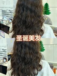 -天使之手