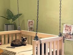 -藏猫猫咖啡主题馆(中央大道店)