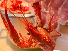 -蚝翅·海鲜粥·烧烤·宁夏滩羊季(玉米楼店)