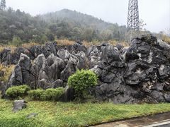 -千岛湖石林