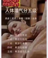 点击看大图 -YESIDO椰岛美容