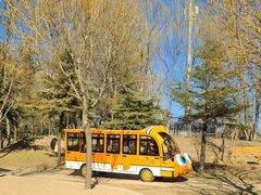 -安德鲁户外烧烤帐篷营地(马泉营店)