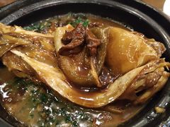 红烧菊黄河豚-鸿运酒楼