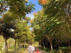 -尚贤河湿地