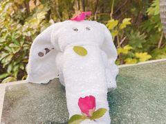 -天目湖涵田半山温泉