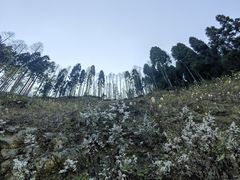 -太阳湾风景区