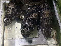 -珠光市场(文德南路)