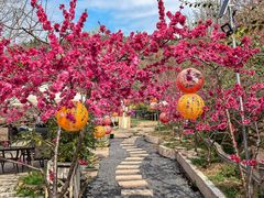 -桃源山庄·水蜜桃采摘·柴火鸡·烧烤团建(龙泉山店)