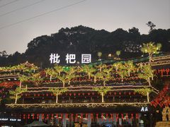 -枇杷园食为鲜火锅(南山店)