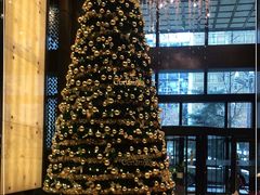 -城市名人酒店喝彩西餐厅(人民南路店)