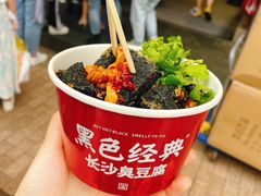 -黑色经典臭豆腐·湖南特产(步行街店)