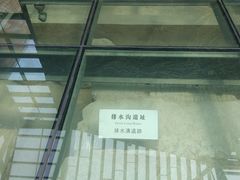 -西安大唐西市博物馆