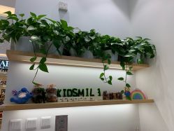 -青苗儿童口腔(长楹天街购物中心)