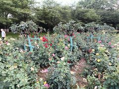-堤角公园