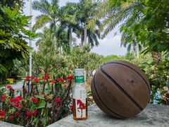 -巅峰减重高端减肥训练营(惠州店)