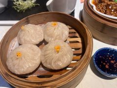 -点都德·毕德寮