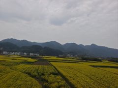 -新安江山水画廊风景区