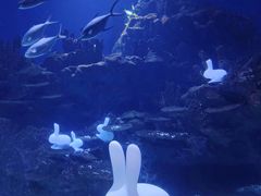 -海合安武汉极地海洋公园