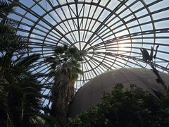 -郑州植物园