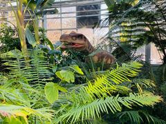 -国家植物园南园