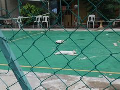 -槟城街头艺术街区