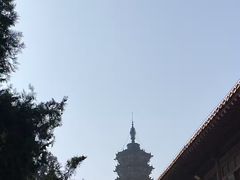 -赵州桥景区