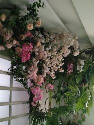 -爱儿美儿童摄影(五路居花园别墅店)