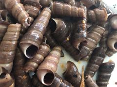 -宾朋海鲜特色美食餐厅·纯手工鲅鱼水饺(兴海路店)