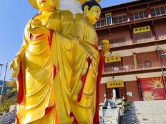 -长虫山生态公园风景林