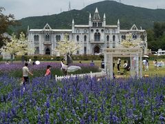 -玫瑰海岸文化旅游度假区