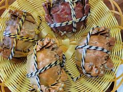 -渔娘蟹庄(阳澄湖莲花岛店)