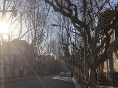 -天津五大道文化旅游区