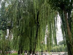 -温江公园