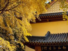 -郑和公园