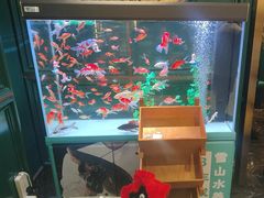 -雀蓝川菜(奥体广场店)