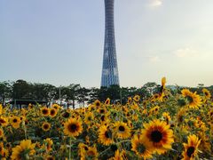 -海心沙亚运公园