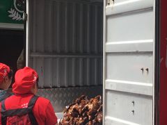 -王浩儿纪六孃甜皮鸭(东大街店)