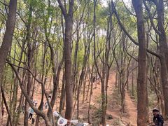 -灵岩山风景区