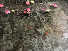 -听松楼·花园酒店·自助餐厅(红梅公园店)