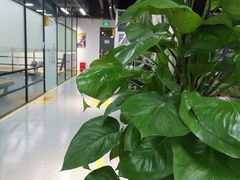 -超鹿运动(融侨锦江店)