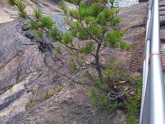 -九龙池景区