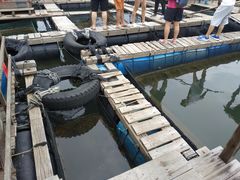 -海上驿站渔家菜馆