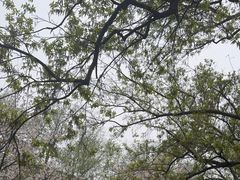-南京城墙景区