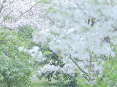 -南山植物园