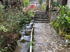 -MOJ coffee(瓯海泽雅水碓坑店)