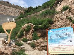 -海驴岛(荣成市)