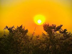 -杭州半山国家森林公园