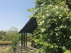 -白塘生态植物园