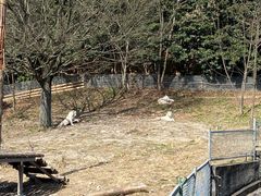 -宁波野生动物园